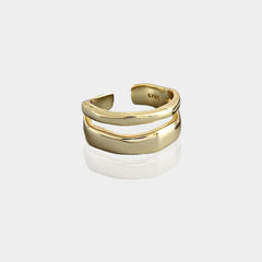 Elegant Twist Two Circle Rings